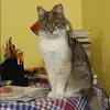 Отзыв от Лада Шишкина